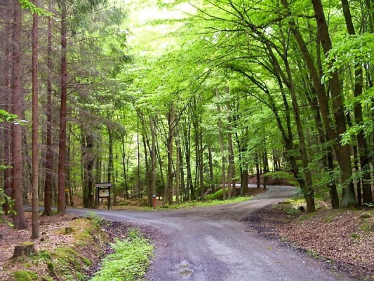 Naučná stezka Voděradské bučiny